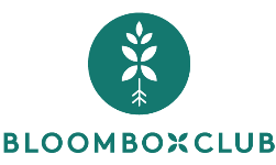 Bloombox Club Germany