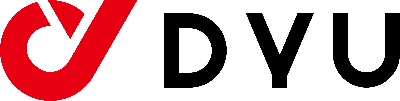 DYU EBIKE