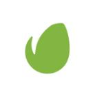 Envato Market