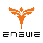 engwe-bikes-eu.com