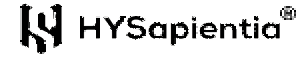 HYSapientia