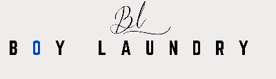 LaRain Holdings corp., (boylaundry.com)