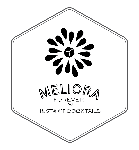 Meliora Forever LLC