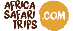Africa Safari Trips