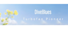 Diveblues - Amazon Seller - US