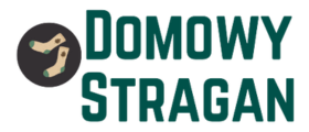 Domowystragan.pl