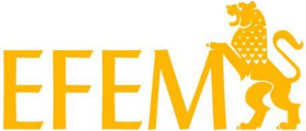 EFEM