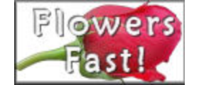 Flowers Fast.com-Send Flowers Same Day Delivery