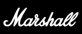 Marshall Headphones