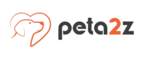 Quik Commerce Inc (peta2z.com)