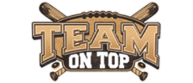Ecommerce Solutions (teamontop.com)