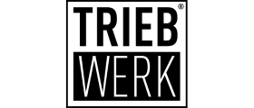 Triebwerk DE