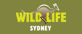 WILDLIFE Sydney