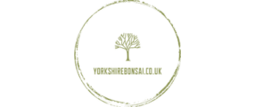 Yorkshire Bonsai