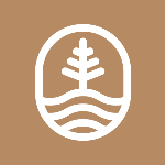 Tsoji & Co.
